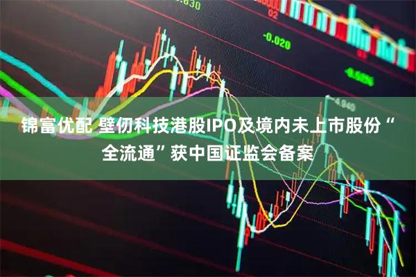 锦富优配 壁仞科技港股IPO及境内未上市股份“全流通”获中国证监会备案
