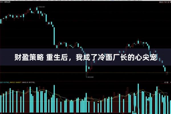 财盈策略 重生后，我成了冷面厂长的心尖宠
