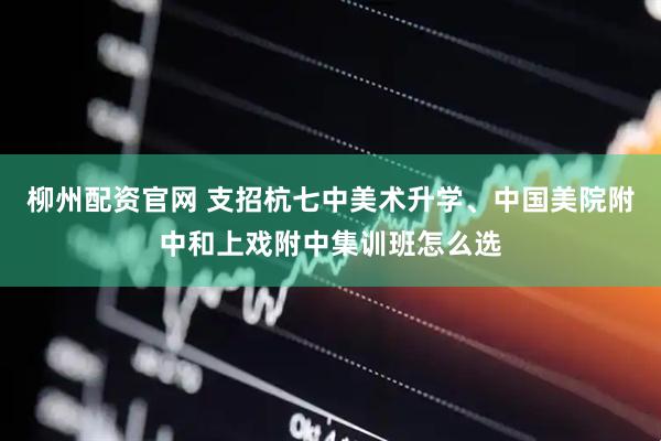 柳州配资官网 支招杭七中美术升学、中国美院附中和上戏附中集训班怎么选