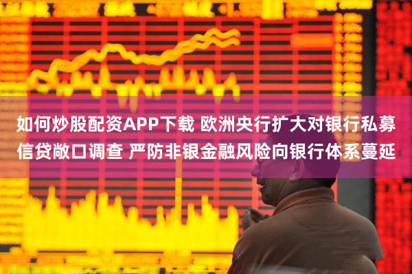 如何炒股配资APP下载 欧洲央行扩大对银行私募信贷敞口调查 严防非银金融风险向银行体系蔓延